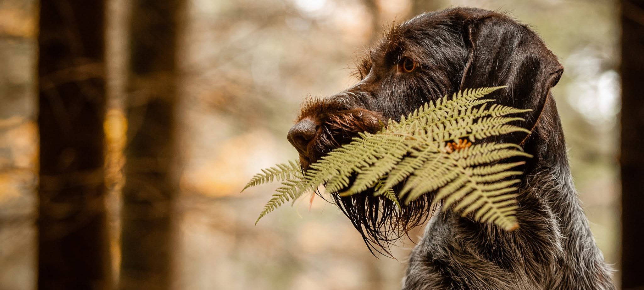 139797740_161165592429032_7952637675815261176_n