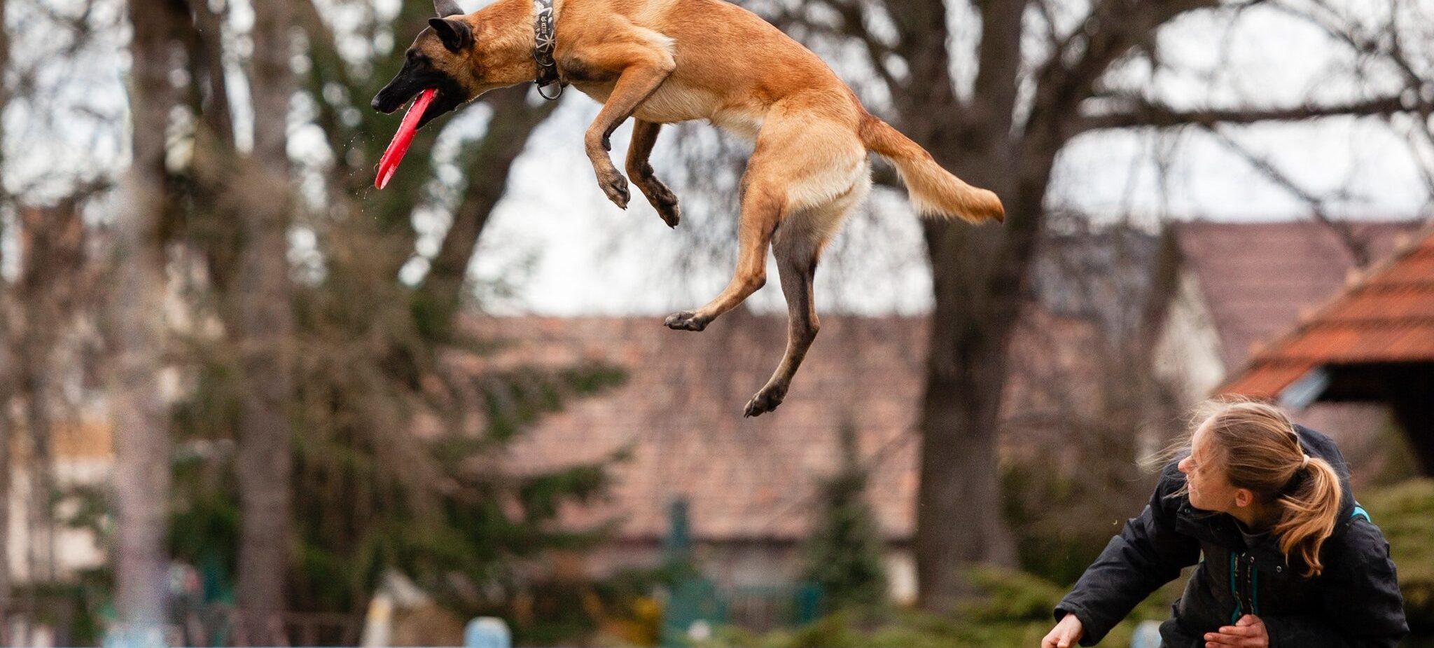 161266451_162920812337843_1962159328035766791_n